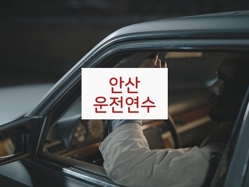 안산운전연수 후기