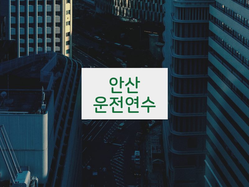 안산운전연수 후기