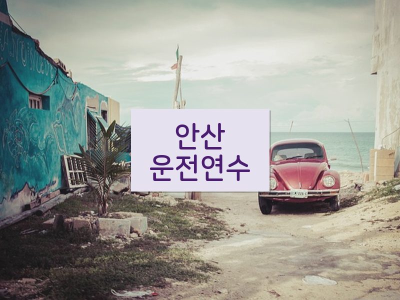 안산운전연수 후기