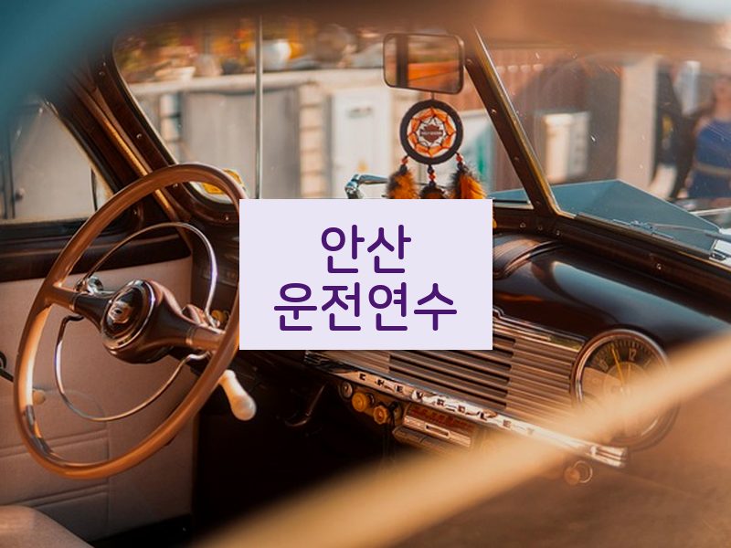 안산운전연수 후기