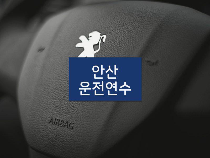 안산운전연수 후기