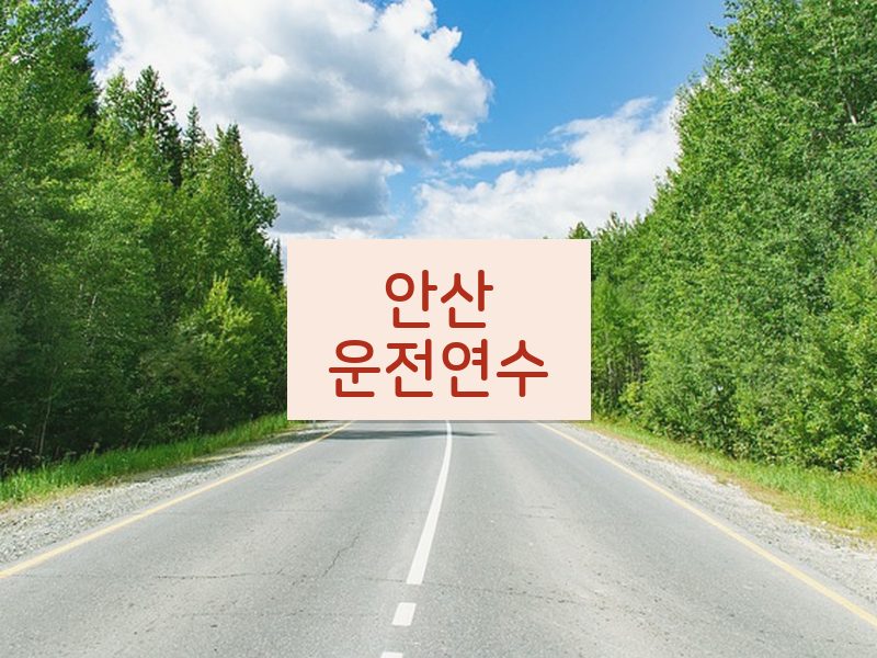 안산운전연수 후기