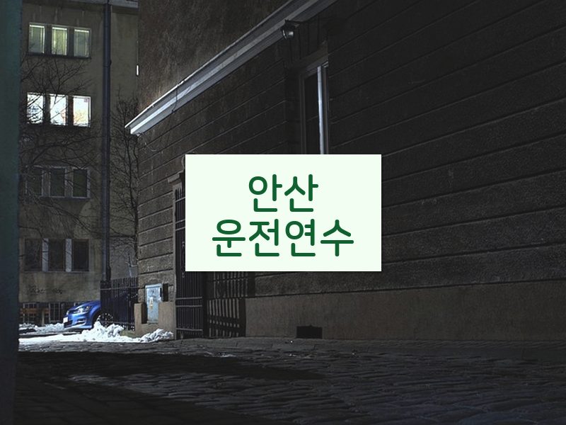 안산운전연수 후기