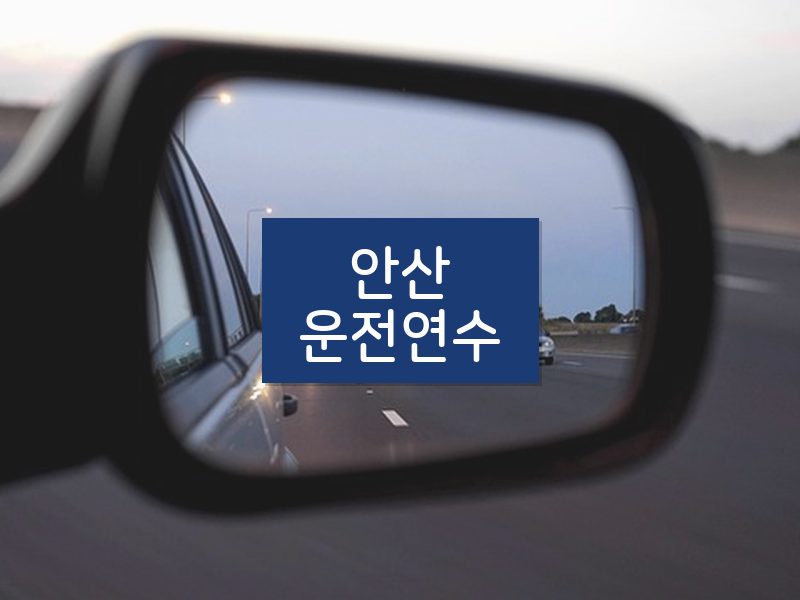 안산운전연수 후기