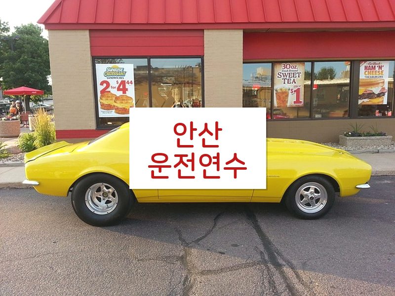 안산운전연수 후기