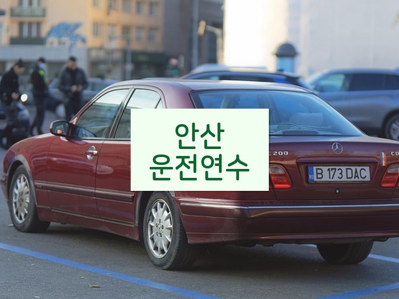 안산운전연수 후기