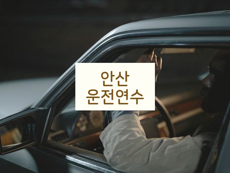 안산운전연수 후기