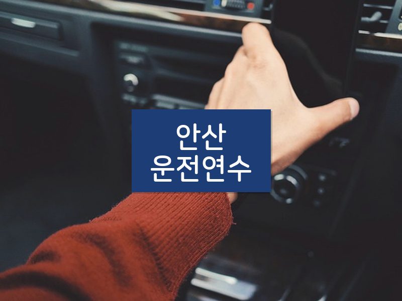 안산운전연수 후기