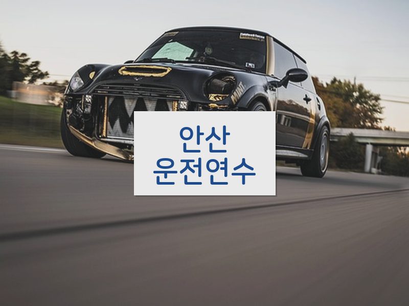 안산운전연수 후기