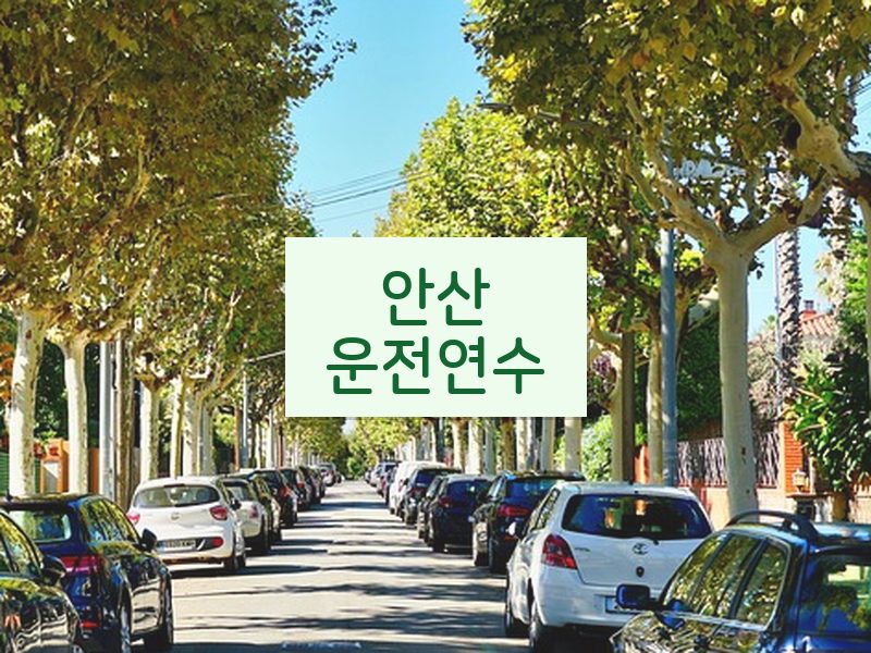 안산운전연수 후기
