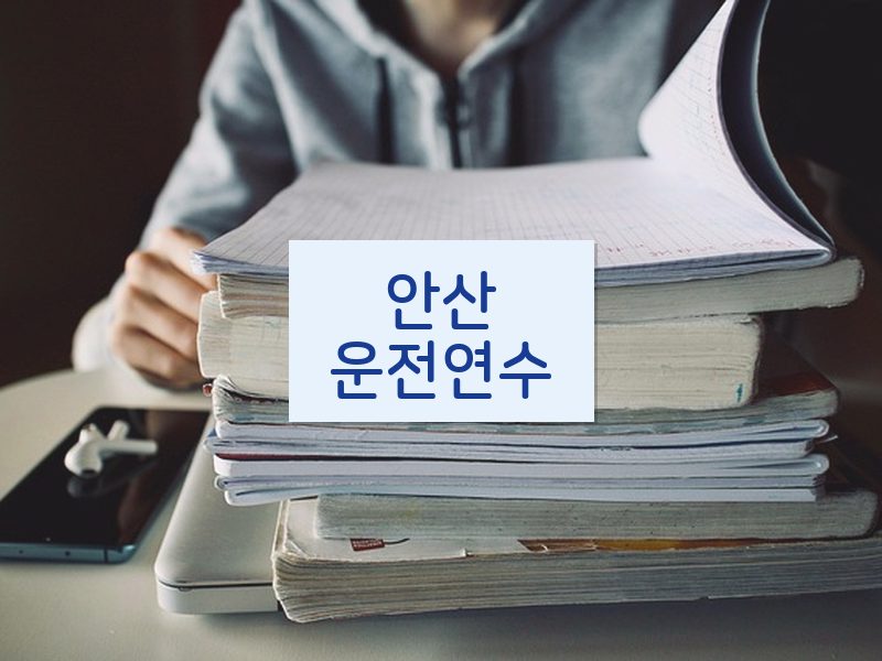 안산운전연수 후기