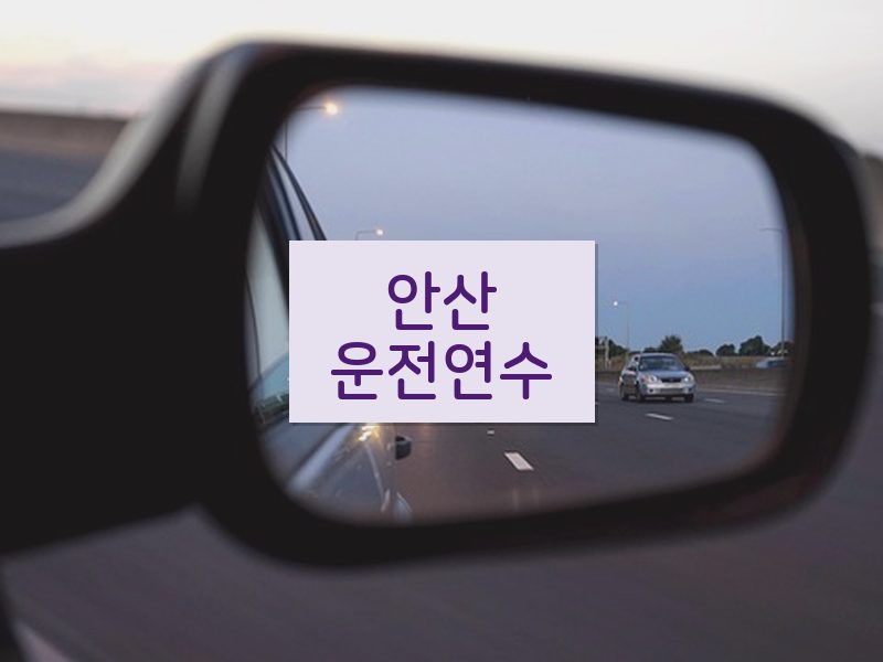 안산운전연수 후기