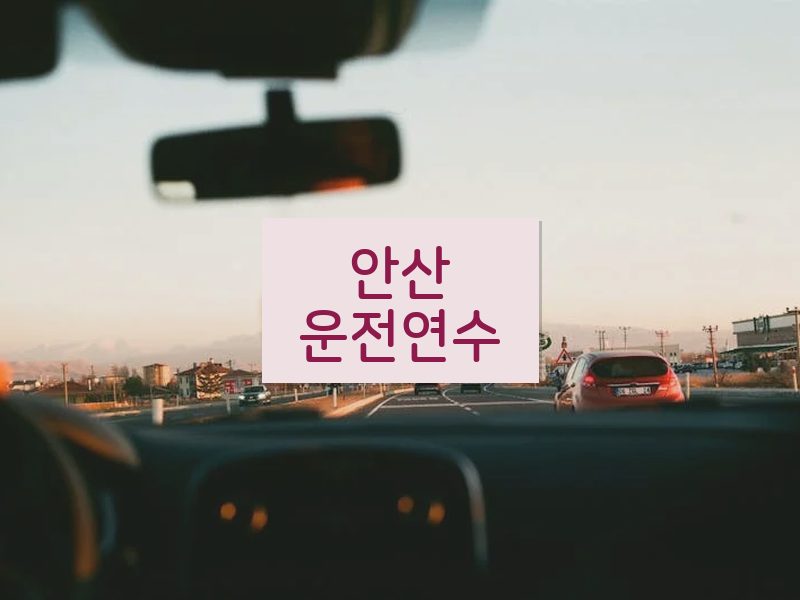 안산운전연수 후기