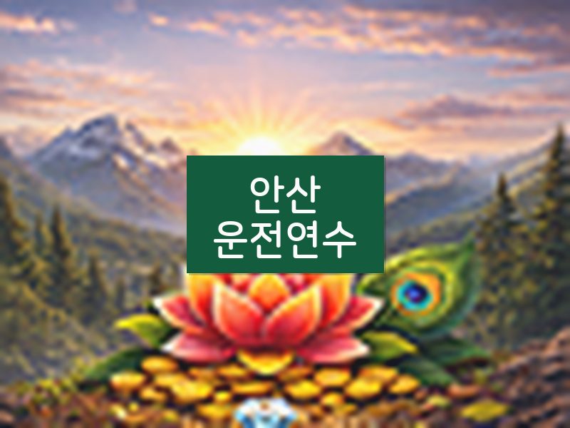 안산운전연수 후기