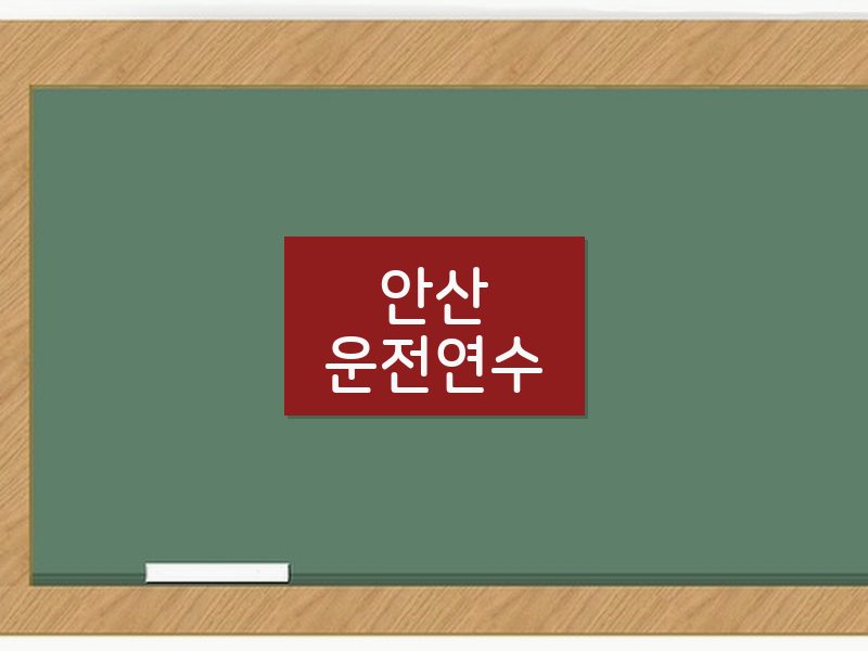 안산운전연수 후기