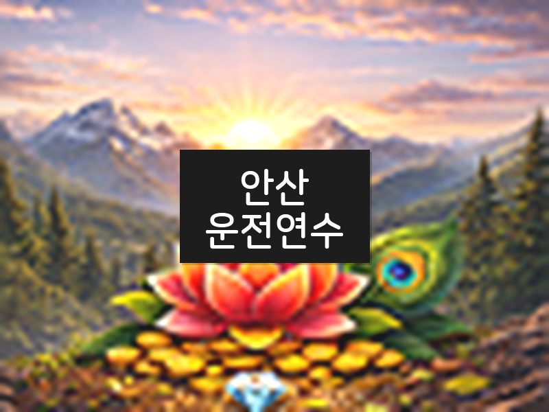 안산운전연수 후기