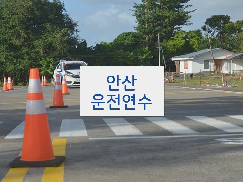 안산운전연수 후기