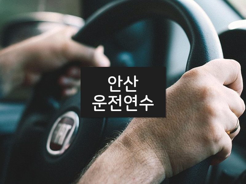 안산운전연수 후기