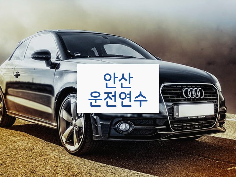 안산운전연수 후기