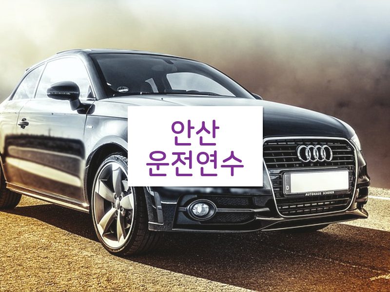 안산운전연수 후기