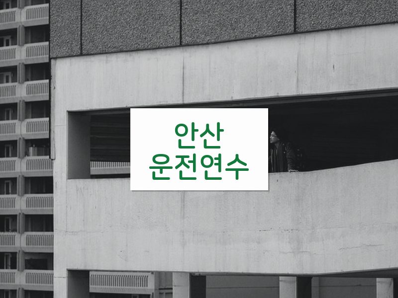 안산운전연수 후기
