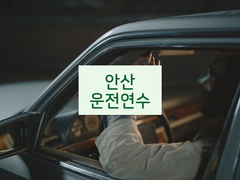 안산운전연수 후기