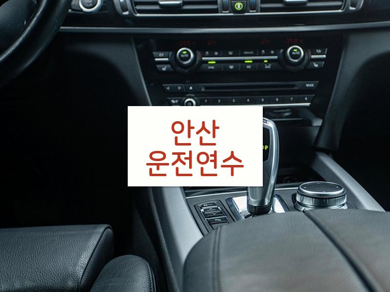 안산운전연수 후기