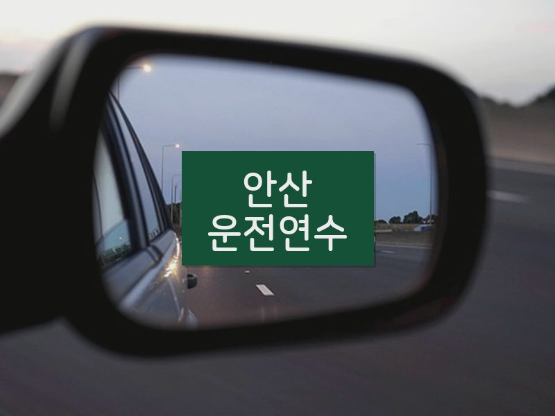 안산운전연수 후기
