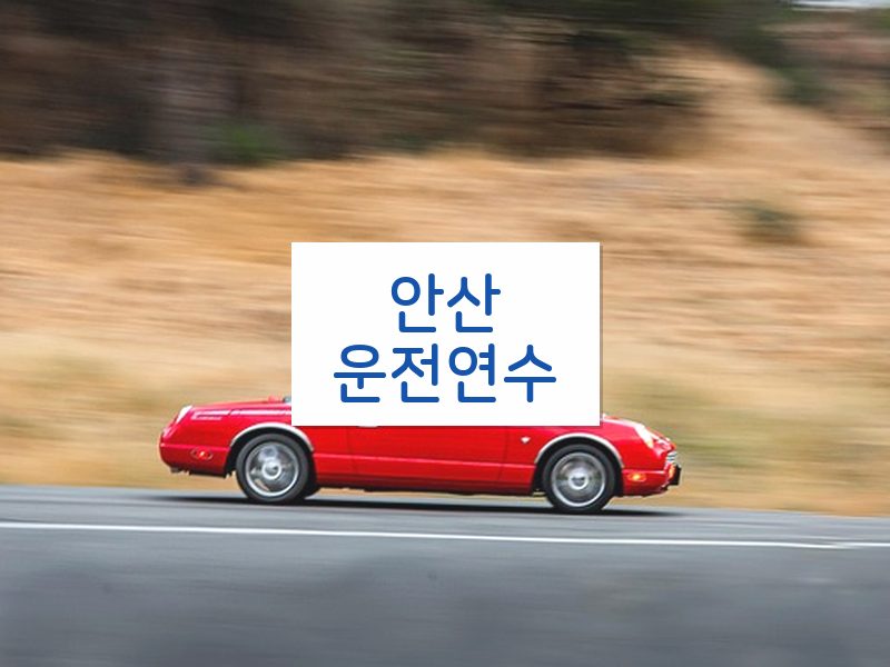 안산운전연수 후기