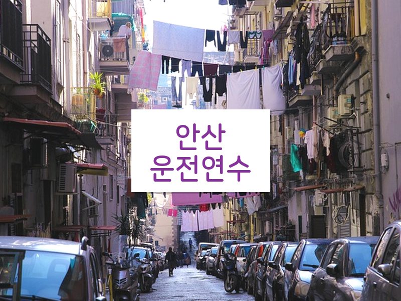 안산운전연수 후기