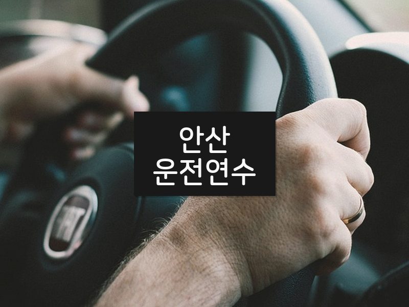 안산운전연수 후기