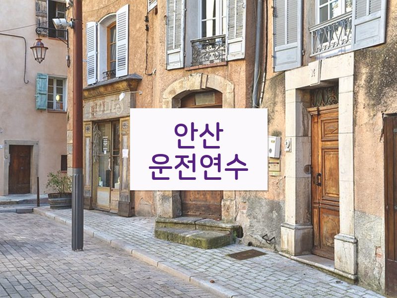 안산운전연수 후기