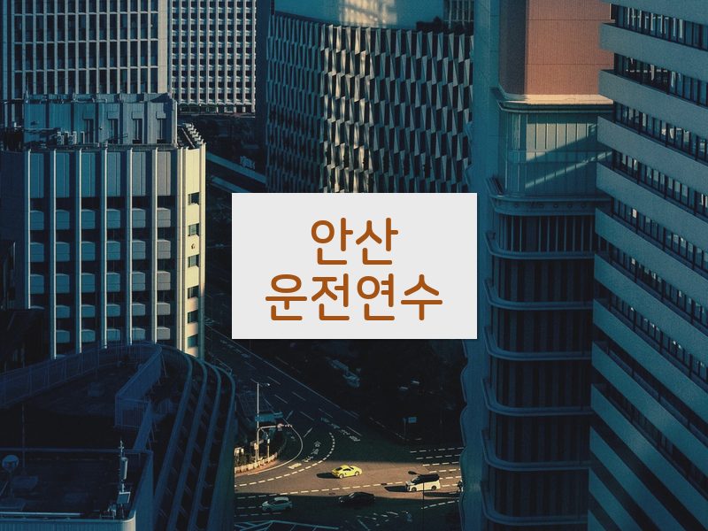 안산운전연수 후기