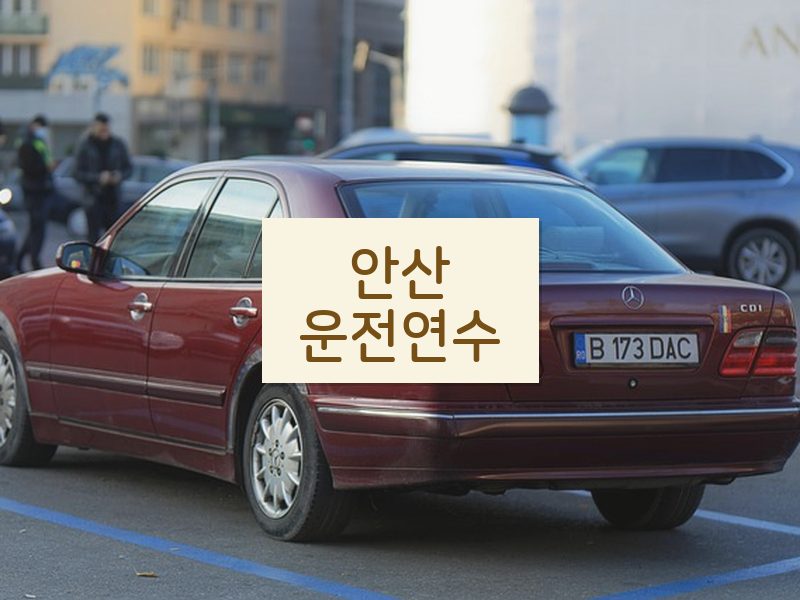 안산운전연수 후기