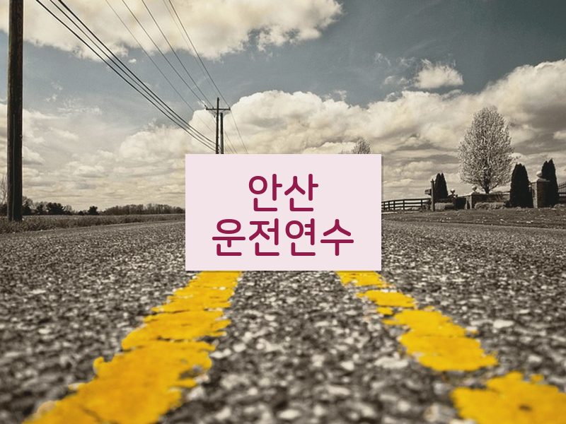 안산운전연수 후기