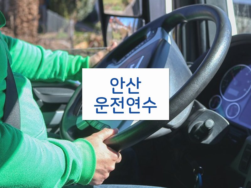 안산운전연수 후기