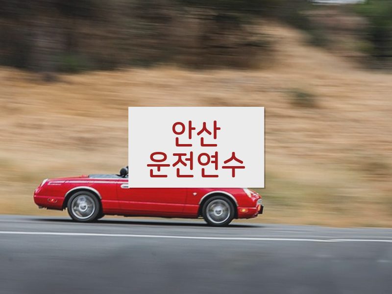안산운전연수 후기