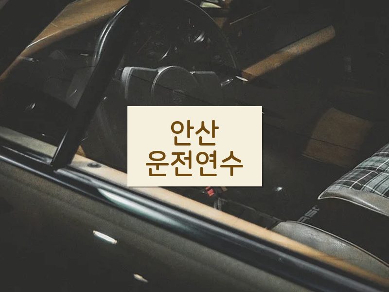 안산운전연수 후기