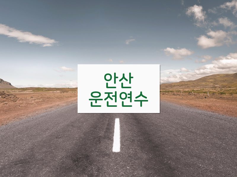 안산운전연수 후기