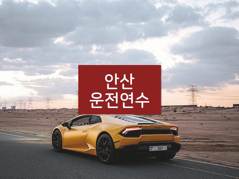 안산운전연수 후기