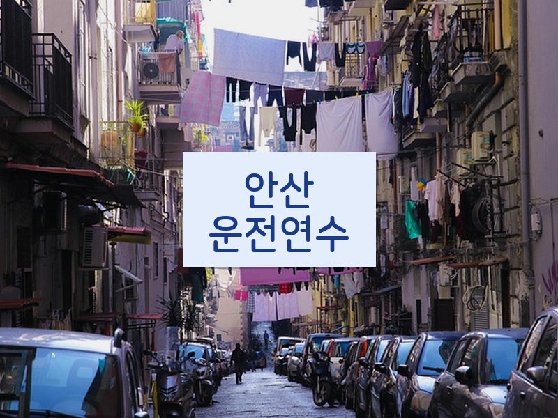 안산운전연수 후기