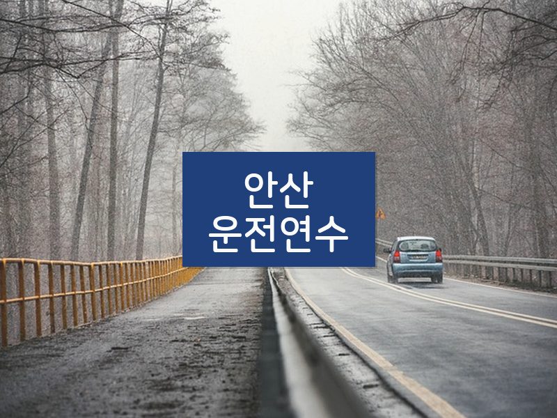 안산운전연수 후기