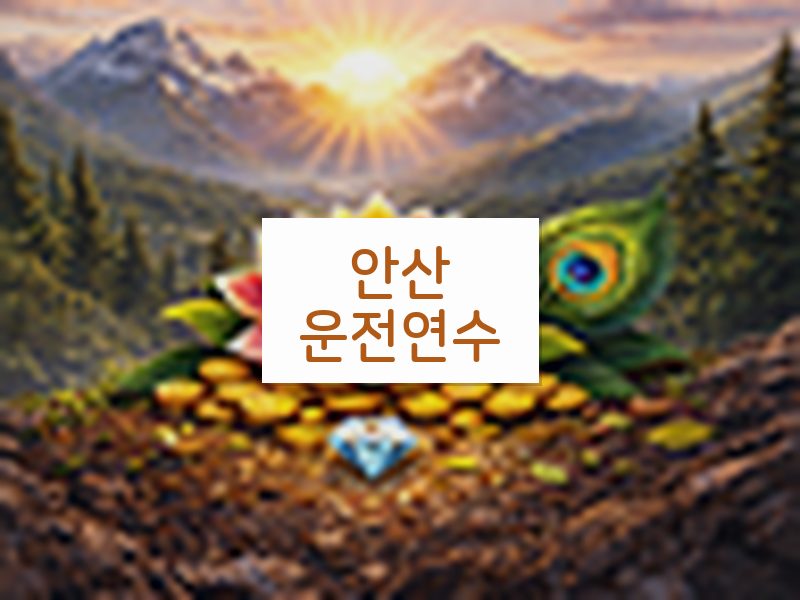 안산운전연수 후기