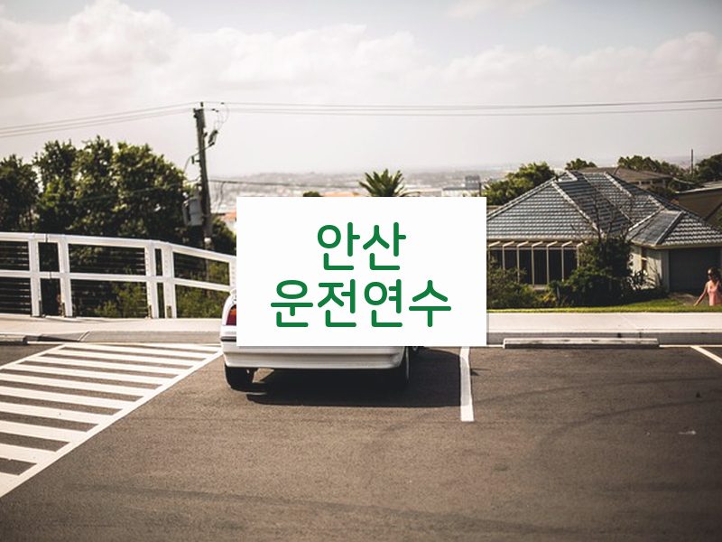 안산운전연수 후기