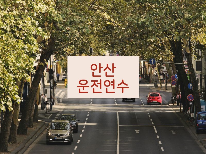 안산운전연수 후기