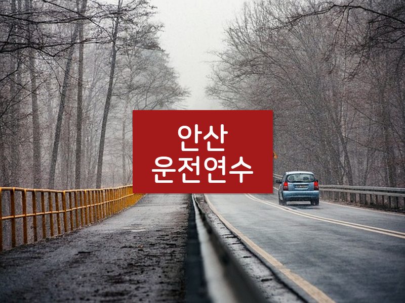 안산운전연수 후기
