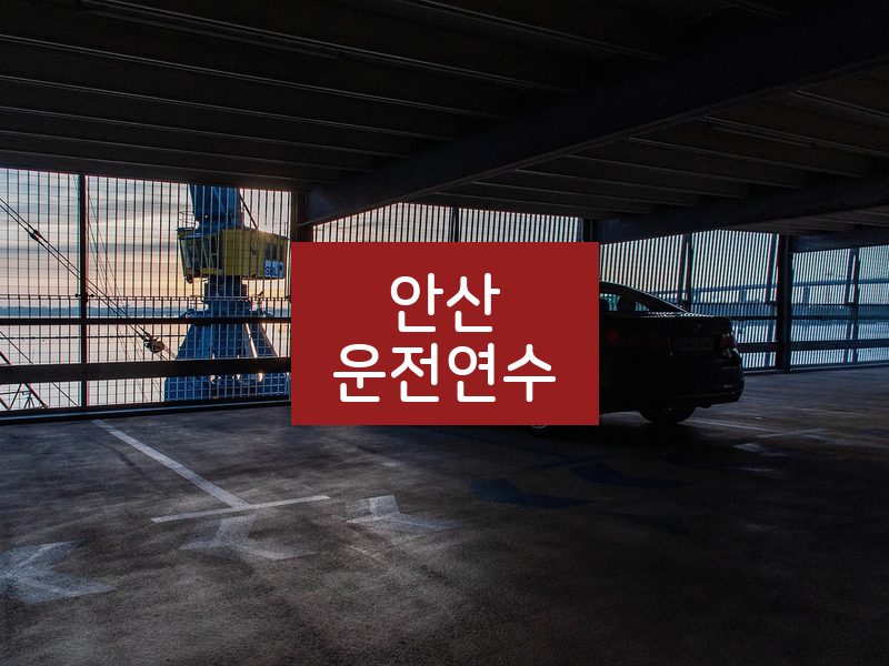 안산운전연수 후기
