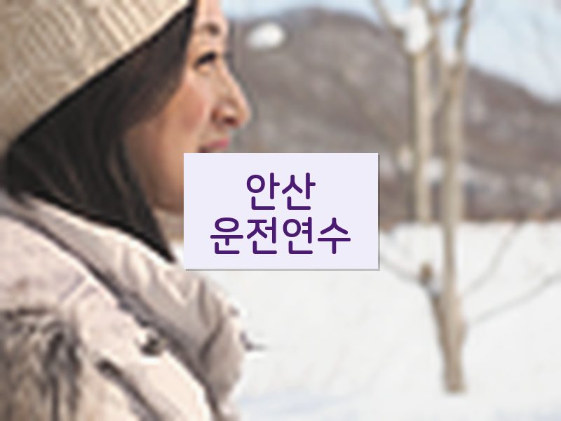 안산운전연수 후기