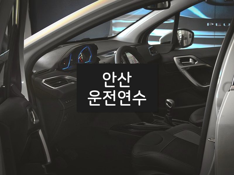 안산운전연수 후기