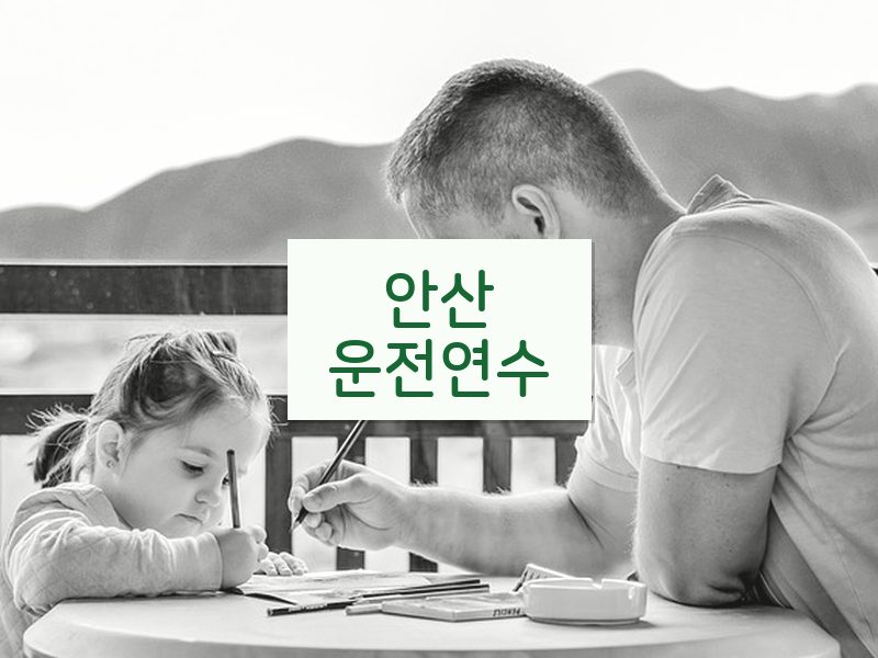 안산운전연수 후기